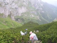 Dolina Małej Łąki - sestup do doliny ze sedla Kondracka Przełęcz (červen 2010)