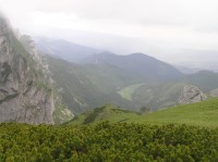 Dolina Małej Łąki - pohled do doliny ze žlute trasy nad sedlem Kondracką Przełęcz (dole travnatá Wielka Polana Małołącka) (červen 2010)