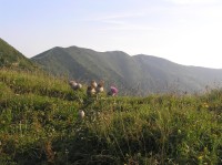 Južný vrchol v Stenách - pohled z Poludňového grúňa (srpen 2010)