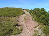 Koniarky - pěšina pod vrcholem (ze sedla Bublen - srpen 2011)