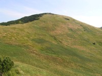Koniarky - pohled na vrchol ze začátku stoupání na Malý Kriváň (srpen 2010)