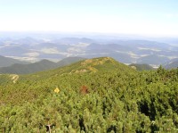Koniarky  - pohled z vrcholu k severu (srpen 2011)