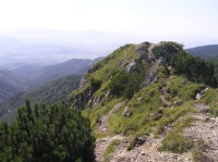 Sratenec - hreben hory na jihozápad od vrcholu (srpen 2010))