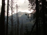 Iwaniacka Przełęcz - pohled ze zestupu na Halu Ornak (květen 2014)