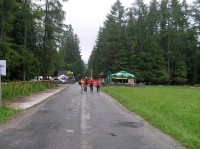 Dolina Chochołowska - cesta od parkoviště na Siwej Polane (červen 2010)