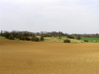 U bílých hlin - celkový pohled na lokalitu od jihu (duben 2011)