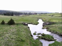 potok Jizerka u osady Jizerka: v pozadí chata Jeřábkovna, za ní Černý vrch (1024,6 m n. m.)
