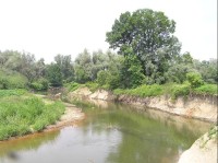 tok Odry v Polanecké nivě