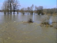 Rozvodněná Odra mezi Košatkou a Jistebnickými rybníky: povodeň 30.3.2006