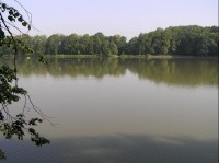 rybník Kukla z hráze u Tůně u Kukly
