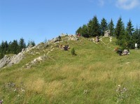 Pod Tanečnicou - odpočinek u blízkých skal (srpen 2011)
