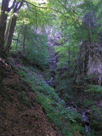 Tesná Rizňa - pod vodopády(srpen 2011)