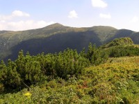 Kraviarske - pohled z vrcholového hřebene na jih (srpen 2012)