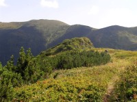 Kraviarske - na vrcholovém hřebeni (pohled na vrchol od severu) - (srpen 2012)