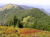 Kraviarske - pohled z vrcholového hřebene na sever (srpen 2012)