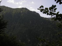 Príslopok - pohled z trasy pod vrcholem na úbočí Stratenca (červenec 2006)