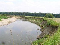 řeka Odra u Proskovic, za ní Staré rybniční hráze