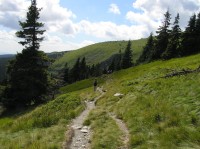 chodník modré tur. trasy a naučné stezky z Ovčárny do Velké kotliny