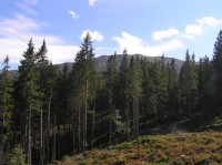 Babia Góra -  pohled na vrchol ze stoupání na Markowe Szczawiny  (září 2012