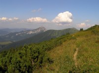 Chrapáky - pohled na Veľký Rozsutec z trasy mezi Chrapákmi a hornou stanicou lanovky (srpen 2012)