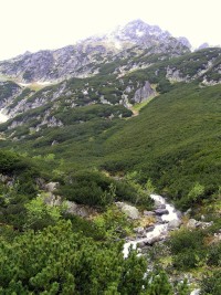 Dolina Roztoki - v horní části doliny (červen 2013)