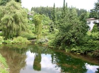 Arboretum Sedloňov