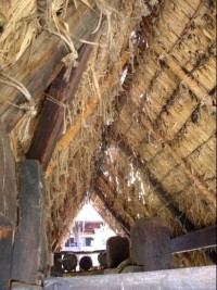 střecha z rákosu