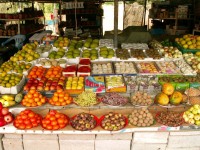 Masafi - stánek s ovocem 