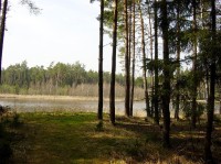 Hradecké lesy- rybník Výskyt