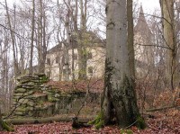 Roštejn - od JV: V těsném okolí hradu Roštejn se nachází rezervace přírodního porostu