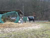 Koňská farma na okraji Radostic