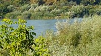 Výhled na maďarský břeh Dunaje