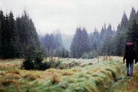 Šumava, rok nula po sametové revoluci. Retro 1990. 2.díl. Přes šumavská jezera za Želenou Rudu