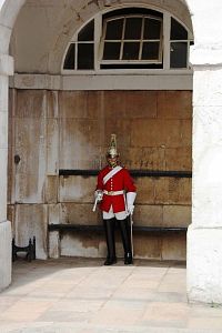 Stráž u Buckinghamského  paláce