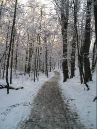 Kunratice, zimní cesta lesem