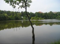Záběhlice, Hamerský rybník