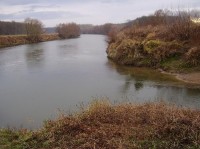 Řeka Morava: Soutok řeky Morava s Městským ramenem