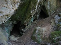 Lom Kobyla: Za stromy je ukryt vchod do jeskyně odkud v parném létě proudí ledový vzduch.