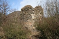 Zřícenina hradu Týřov: Celkový pohled na jednu z věží