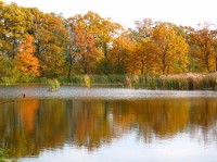 Jistebník rybníky: Podzim u Jistebnických rybníků