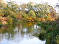 Jistebník Odra: Podzimní řeka Odra