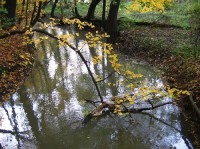 Jistebník: Podzim u Jistebnických rybníků
