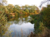 Jistebník Odra: Pohled na podzimní řeku Odra
