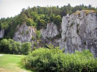 Sloupsko-šošůvské jeskyně: Sloupsko-šošůvské jeskyně v Moravském krasu