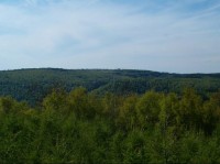 Panorama 8: Lesná z Jedlové