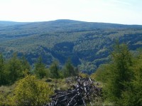 Panorama 7: Mezihořský vrch a Pyšná v popředí