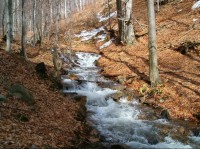 Pekelský potok: Kaskády na Pekelském potoce