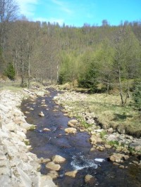 Telčský potok: meandrující potok v kamenitém korytě