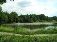 Bor - zámecký park: Pohled na park přes Zámecký rybník