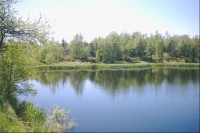 Černý rybník: Černý rybník na okraji přírodní rezervace. Leží u okraje silnice Klíny-Fláje.